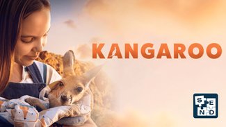 SEND: Kangaroo