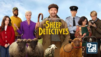 SEND: The Sheep Detectives