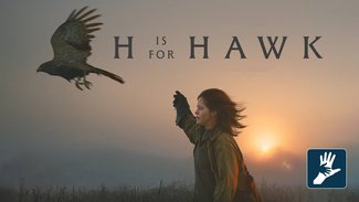 Parent & Baby: H is for Hawk