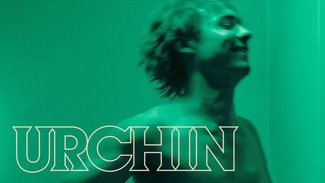 Urchin