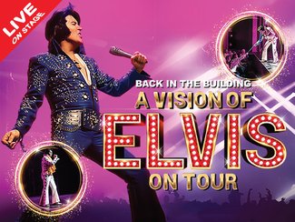 A Vision of Elvis