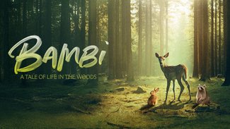 Bambi: A Tale of Life in the Woods - Films For Fiver