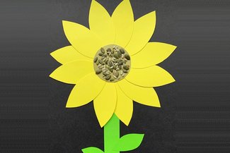 Yellow paper sunflower with seeds