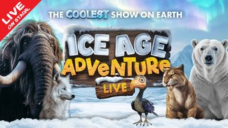 Ice Age Adventures