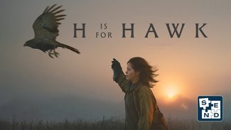 SEND: H is for Hawk