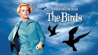 Monday Night Classic: The Birds (1963)