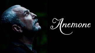 Anemone