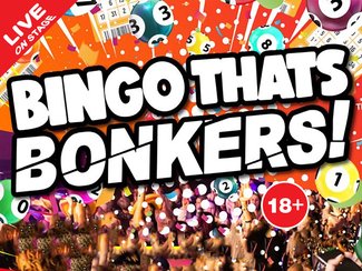 Bingo Thats Bonkers! (2027)