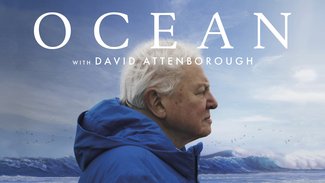 Ocean With David Attenborough