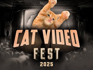 Cat Video Fest 2025
