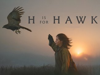 H is for Hawk