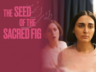 The Seed of the Sacred Fig