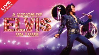 A Vision of Elvis
