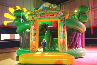 Jungle Forest 3 JW